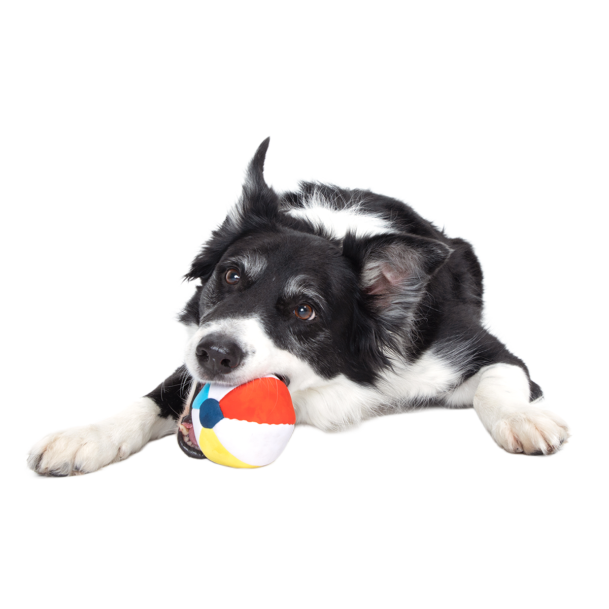 Spike The Beach Ball Super Chewer Durable 2-in-1 + Fetch Dog Toy