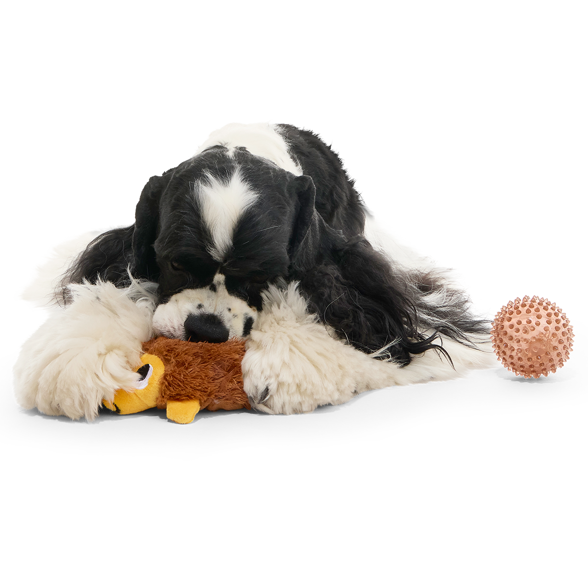 Spike the Ball Hog Plush Multi-Part + Fetch Dog Toy