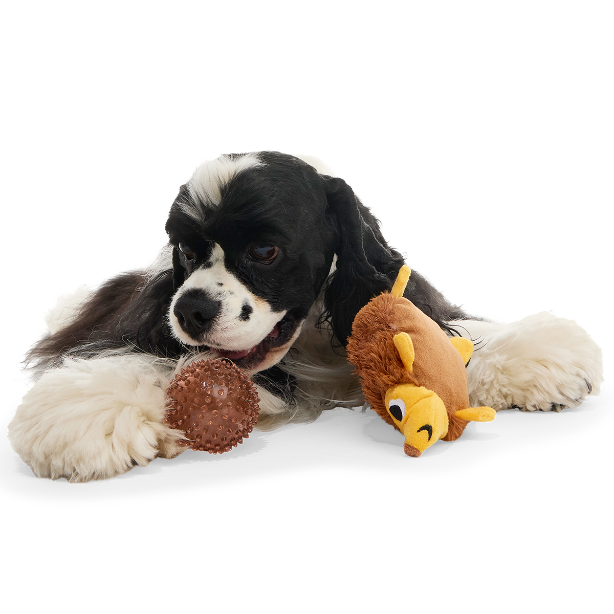 Spike the Ball Hog Plush Multi-Part + Fetch Dog Toy