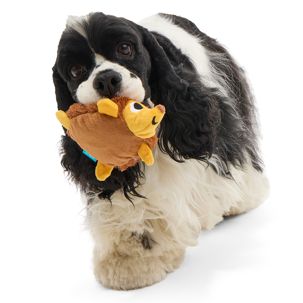 Spike the Ball Hog Plush Multi-Part + Fetch Dog Toy