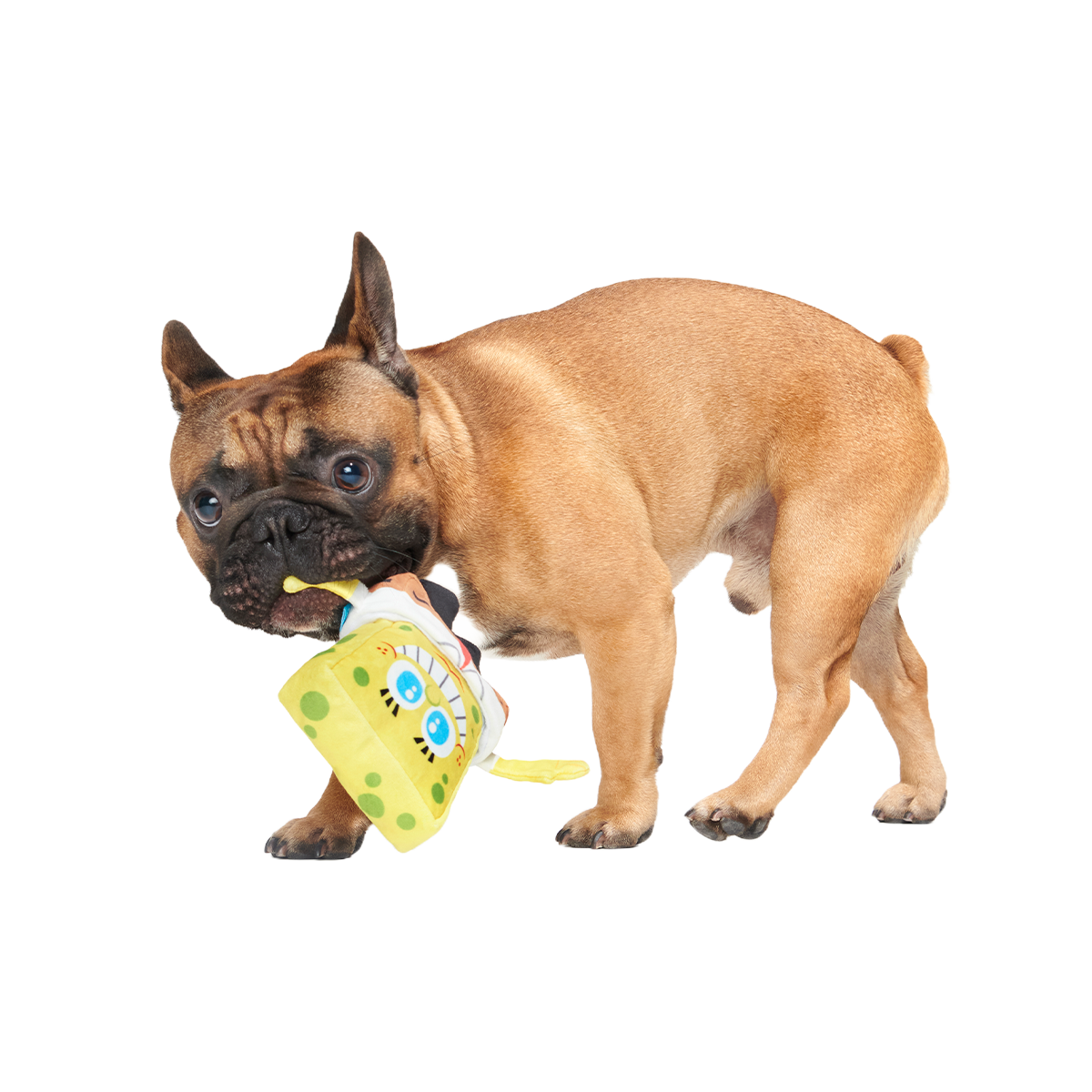SpongeBob SquarePantsed Plush Multi-Part + Enrichment Dog Toy