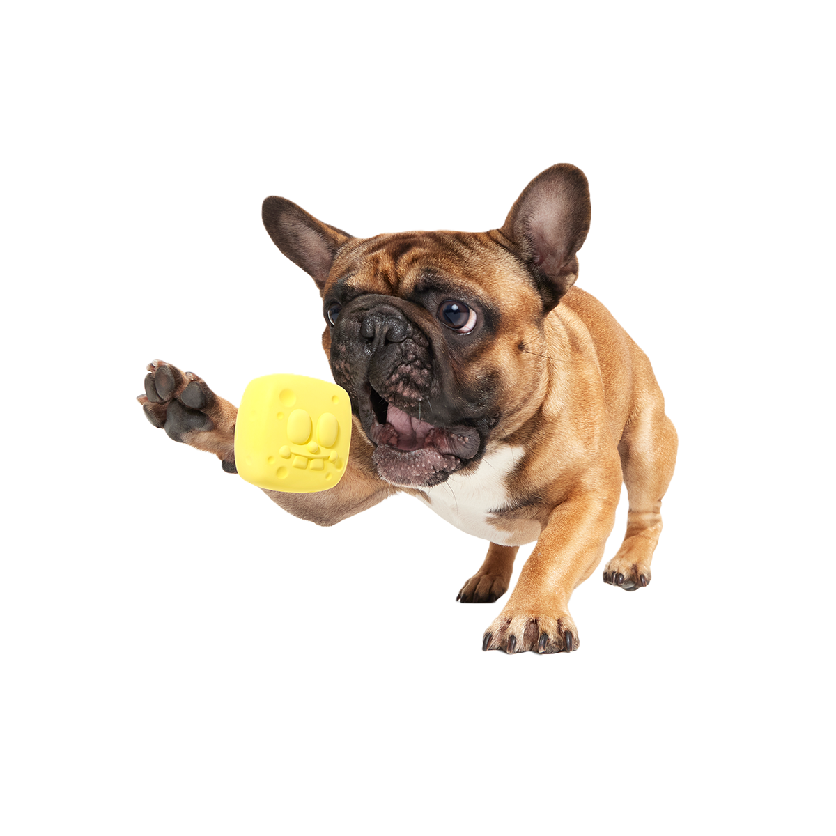 SpongeBob SqueakPants Super Chewer Durable Fetch Dog Toy