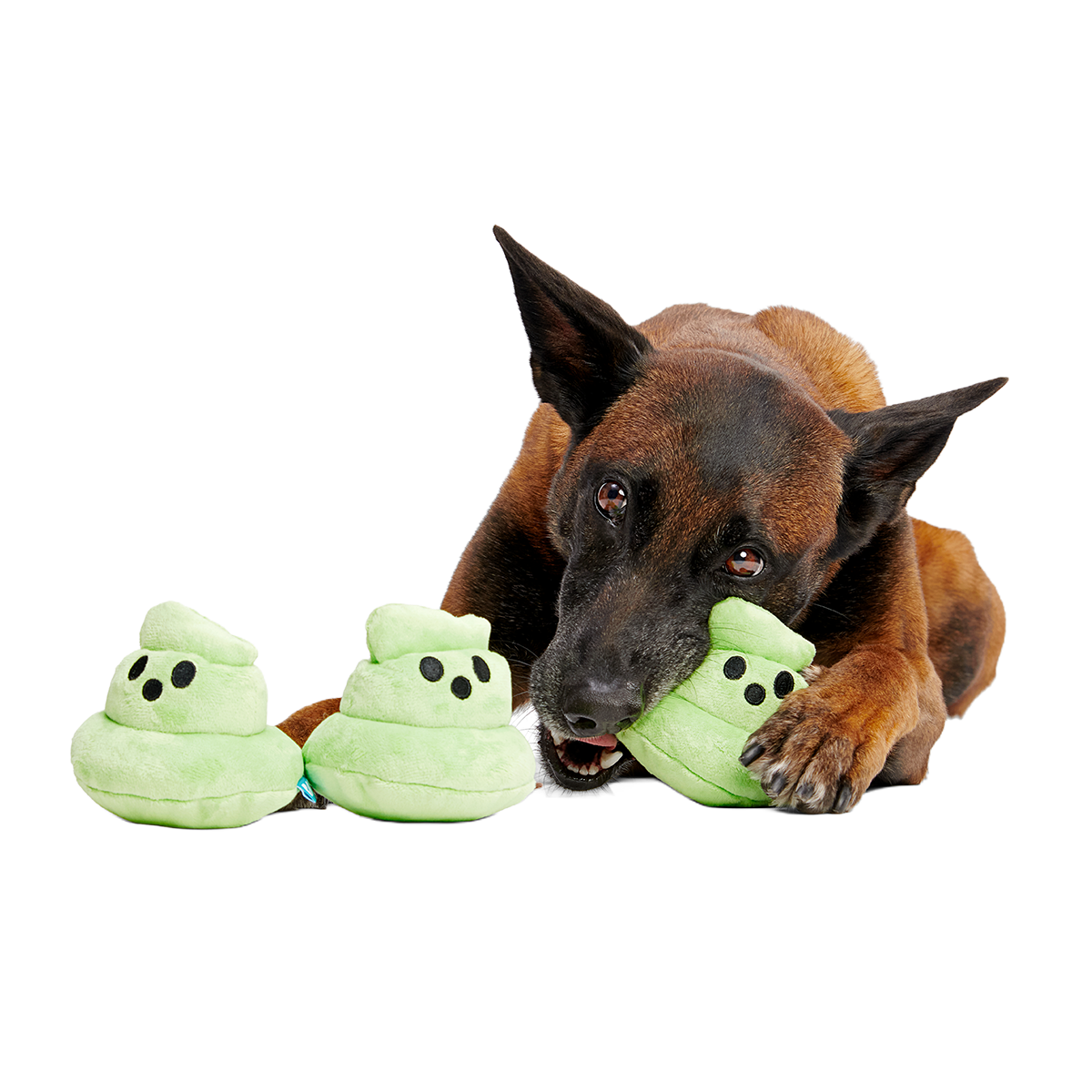 Spoopy Poopies Plush Multi-Part Dog Toy
