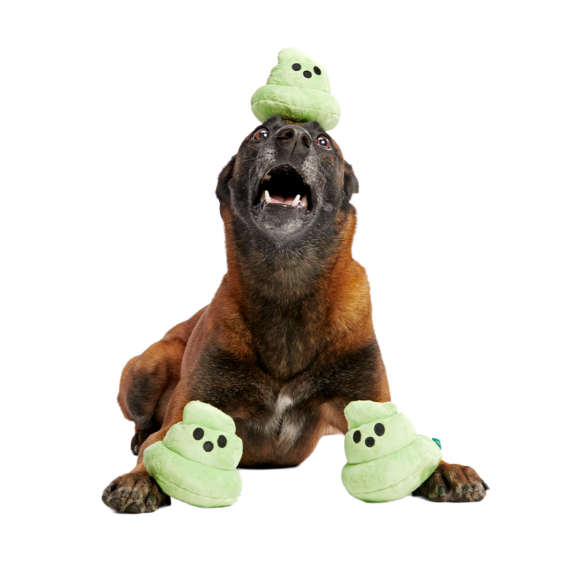Spoopy Poopies Plush Multi-Part Dog Toy