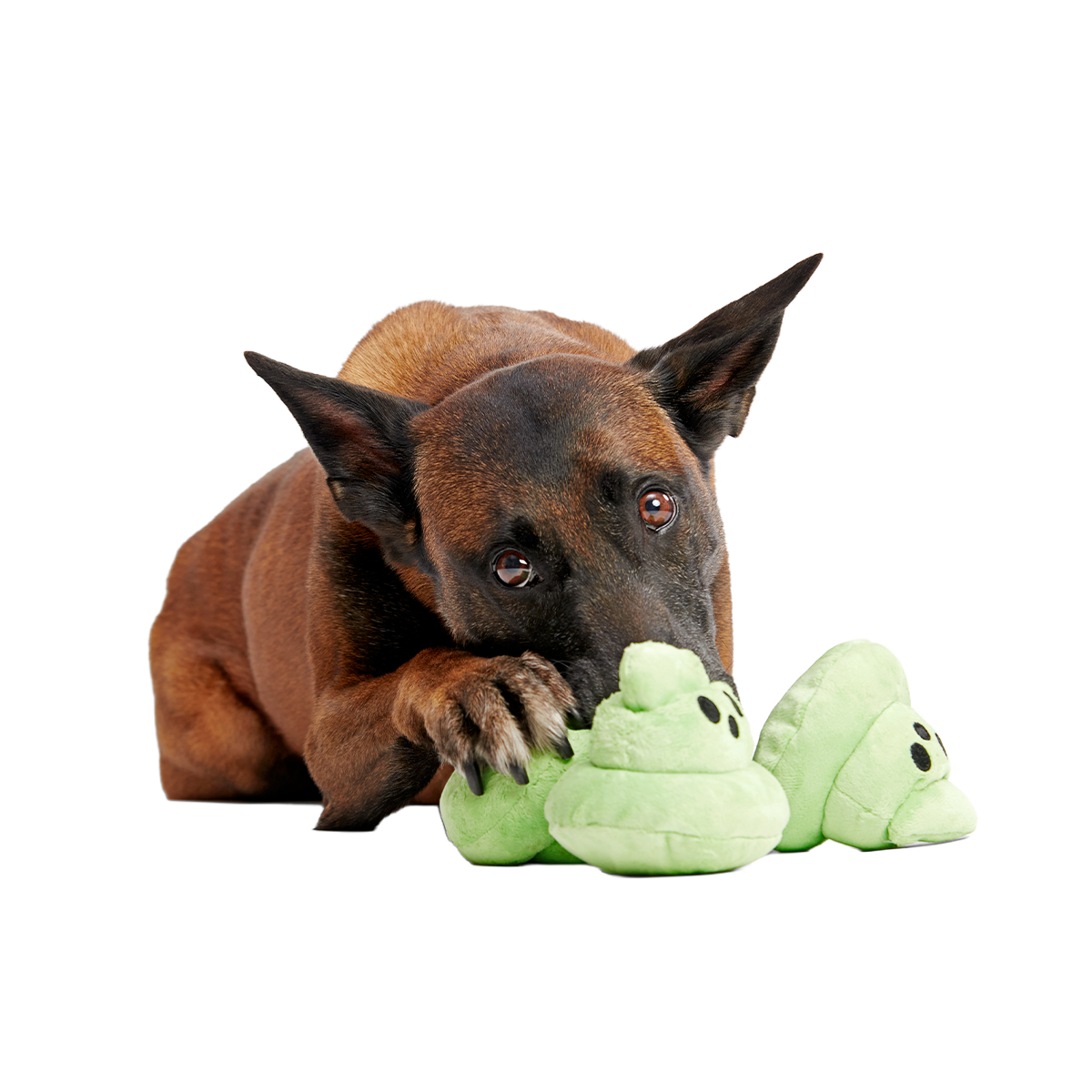Spoopy Poopies Plush Multi-Part Dog Toy