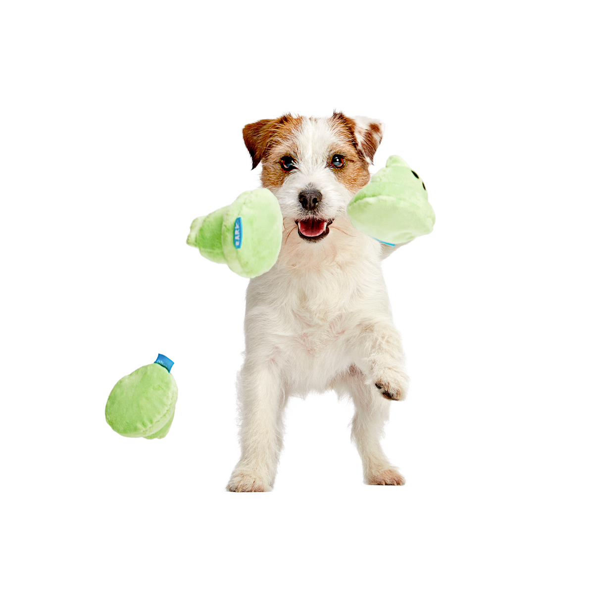 Spoopy Poopies Plush Multi-Part Dog Toy