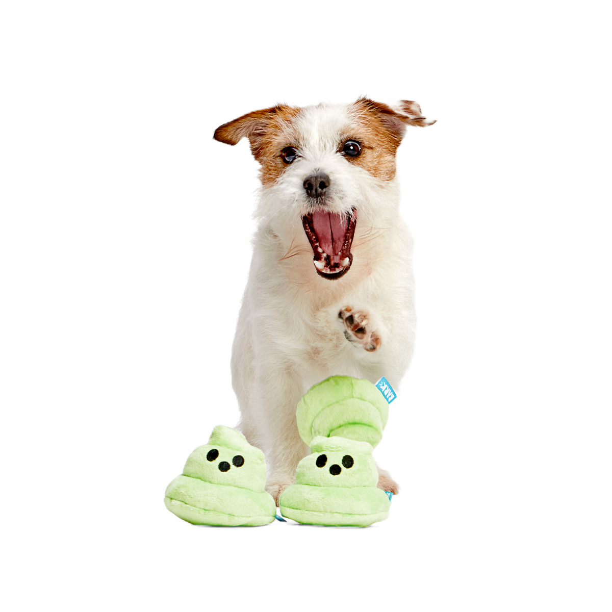 Spoopy Poopies Plush Multi-Part Dog Toy