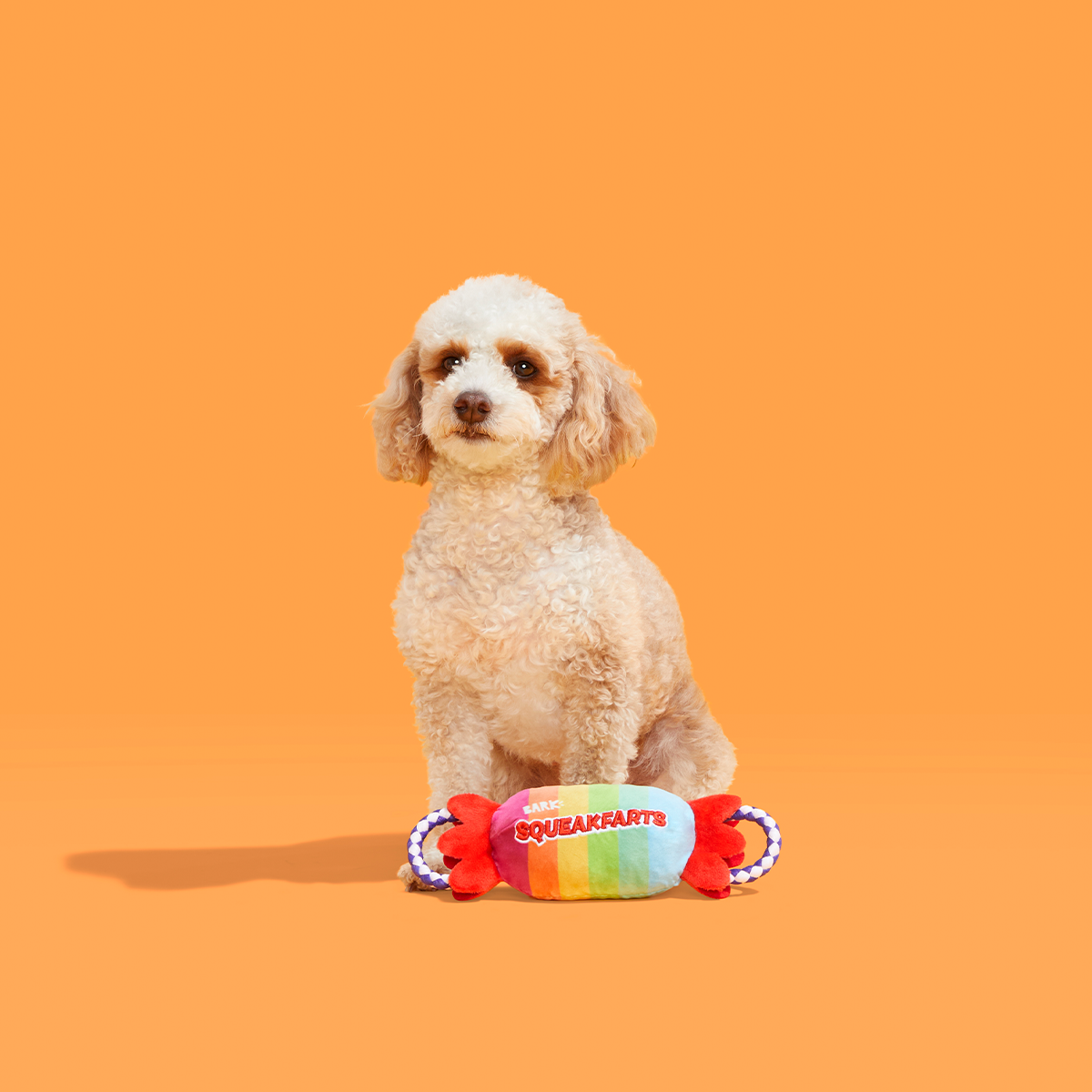 SqueakFarts Candy Plush Tug Dog Toy