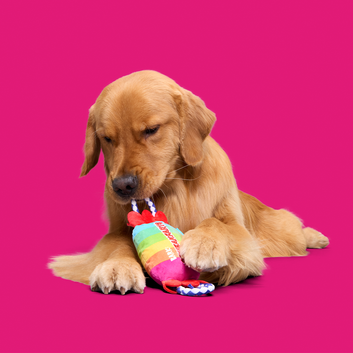 SqueakFarts Candy Plush Tug Dog Toy
