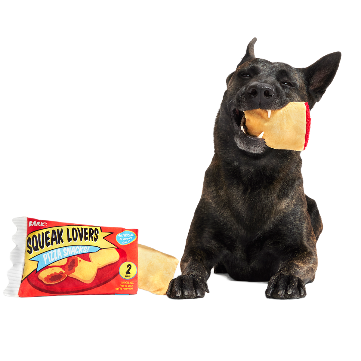 Squeak Lovers Pizza Snacks Plush Multi-Part + Enrichment Dog Toy