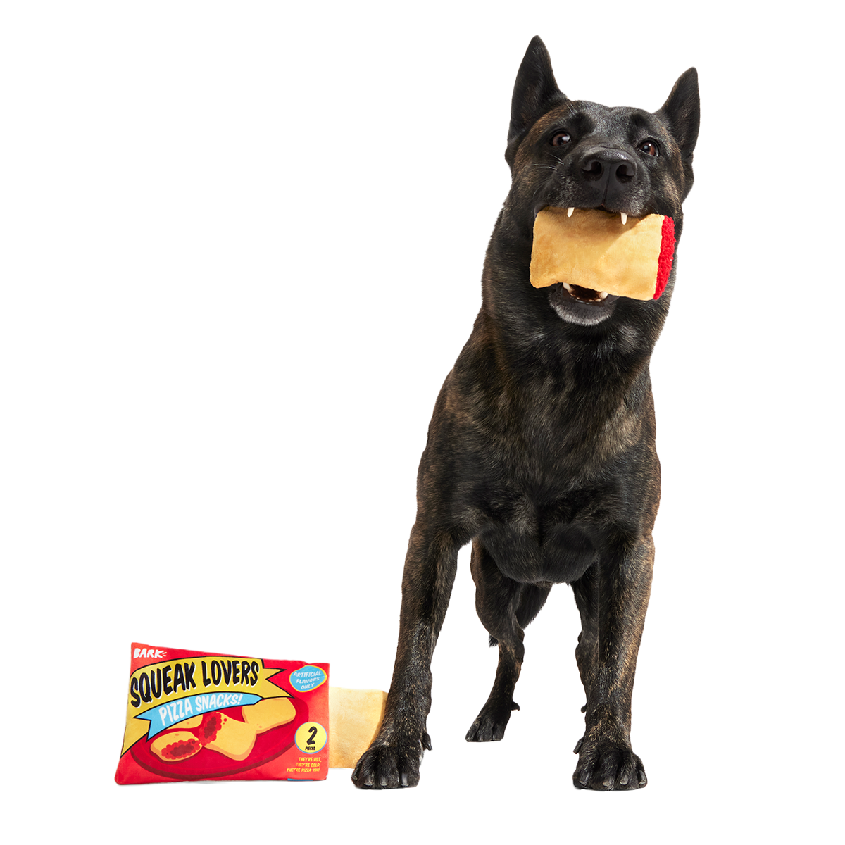 Squeak Lovers Pizza Snacks Plush Multi-Part + Enrichment Dog Toy
