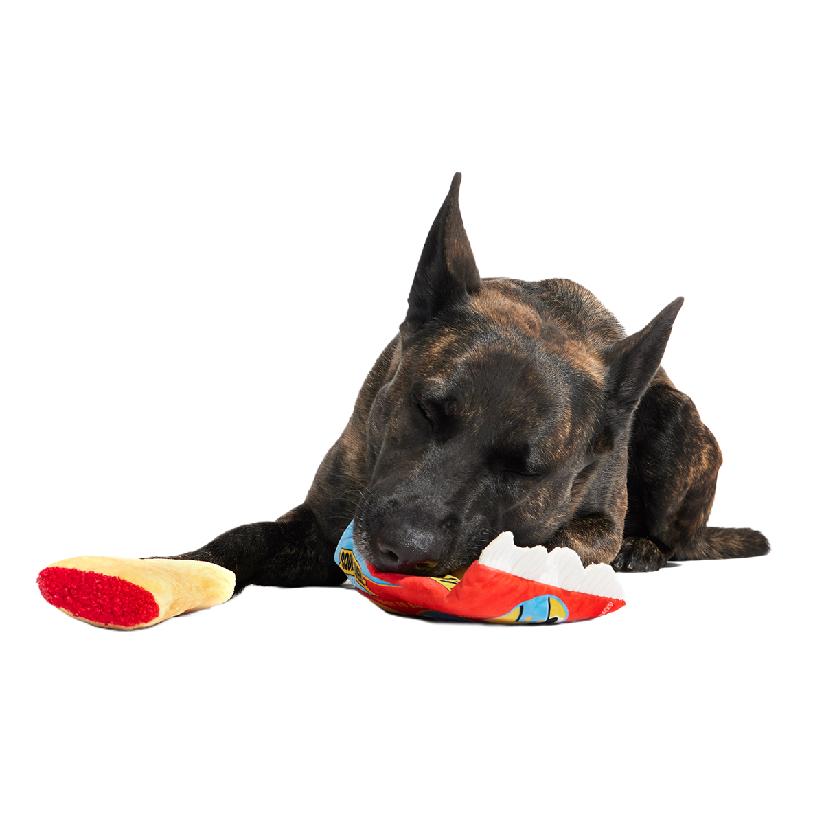 Squeak Lovers Pizza Snacks Plush Multi-Part + Enrichment Dog Toy