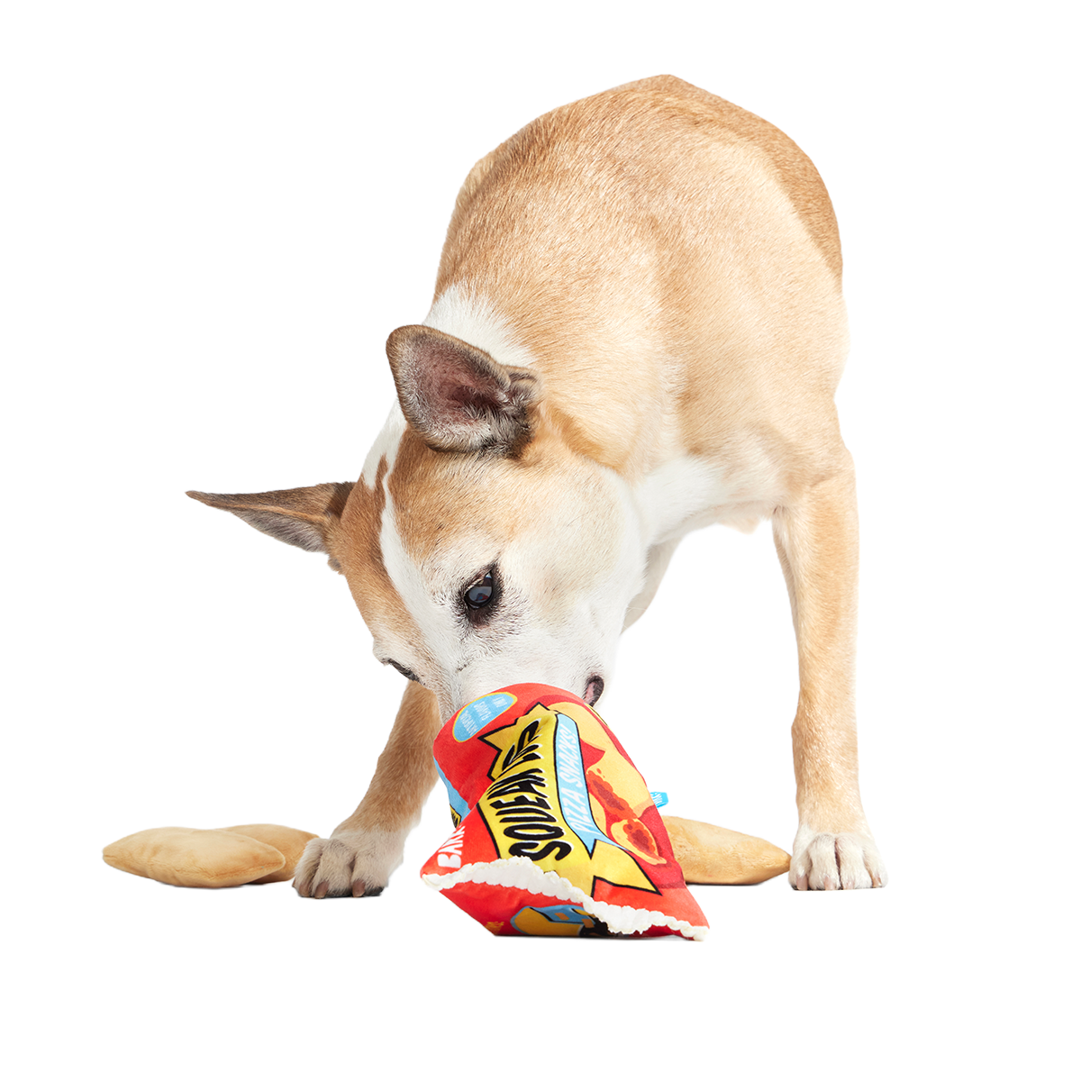 Squeak Lovers Pizza Snacks Plush Multi-Part + Enrichment Dog Toy