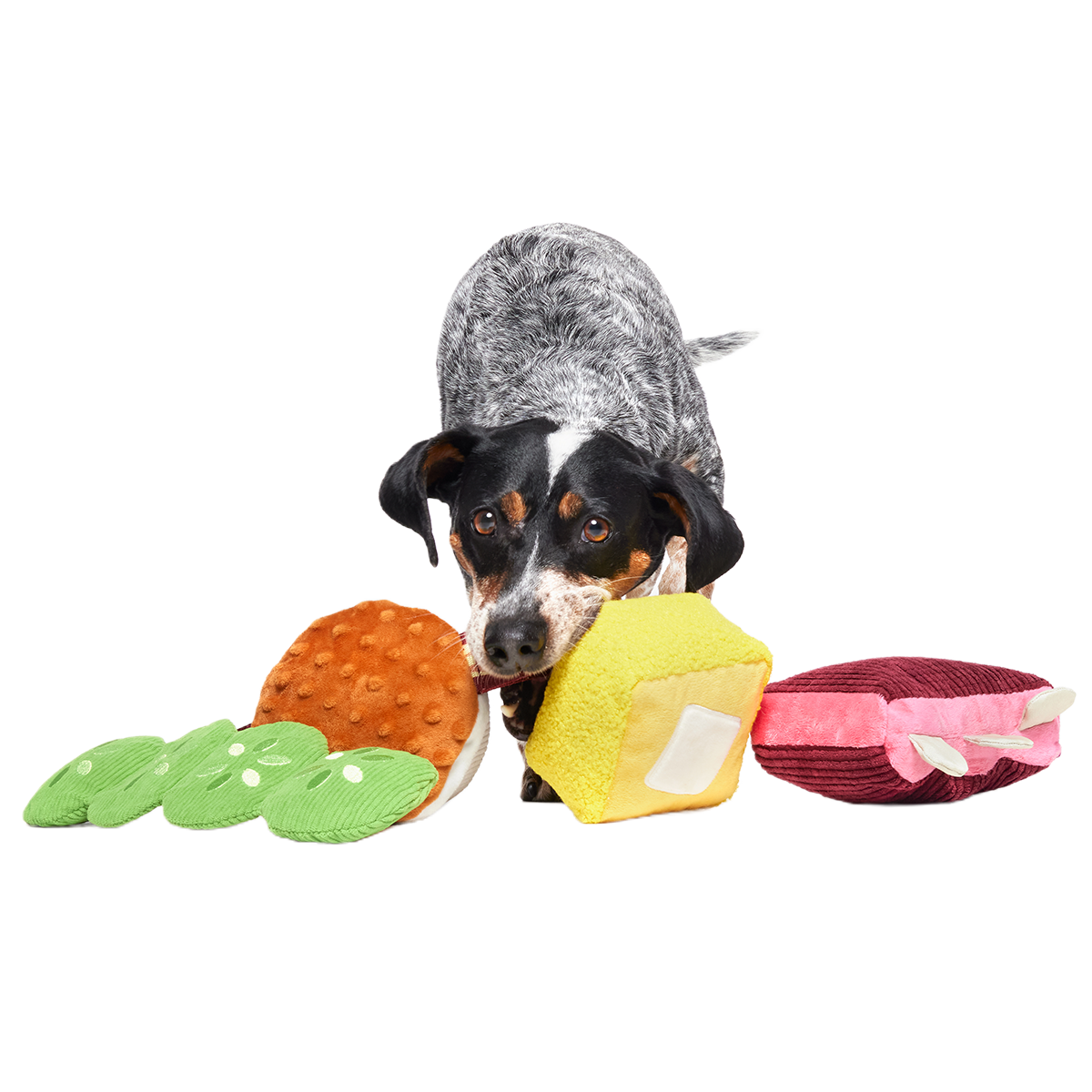 Squeak & Three Plush Multi-Part Dog Toy