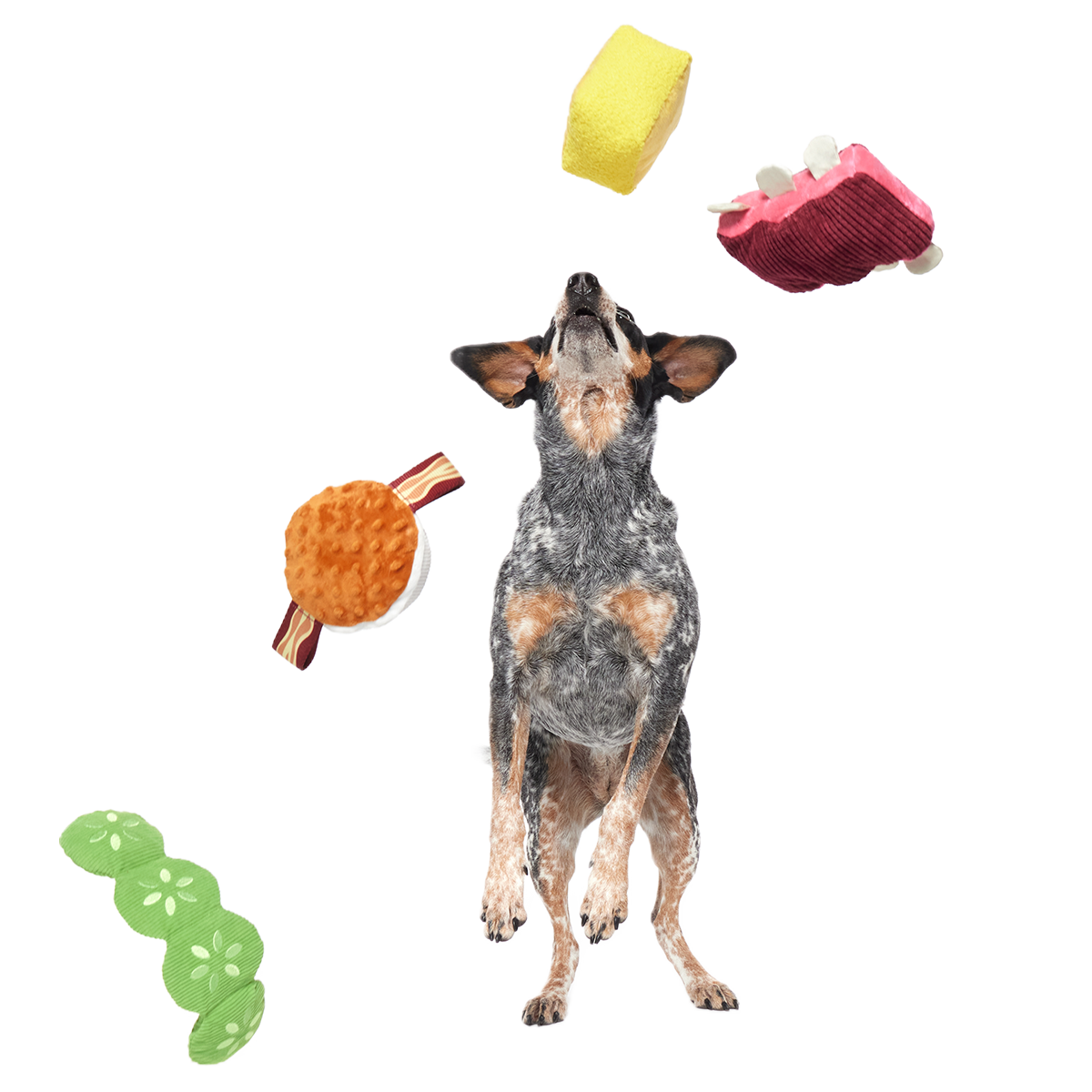 Squeak & Three Plush Multi-Part Dog Toy