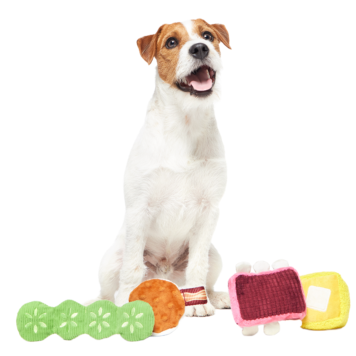 Squeak & Three Plush Multi-Part Dog Toy