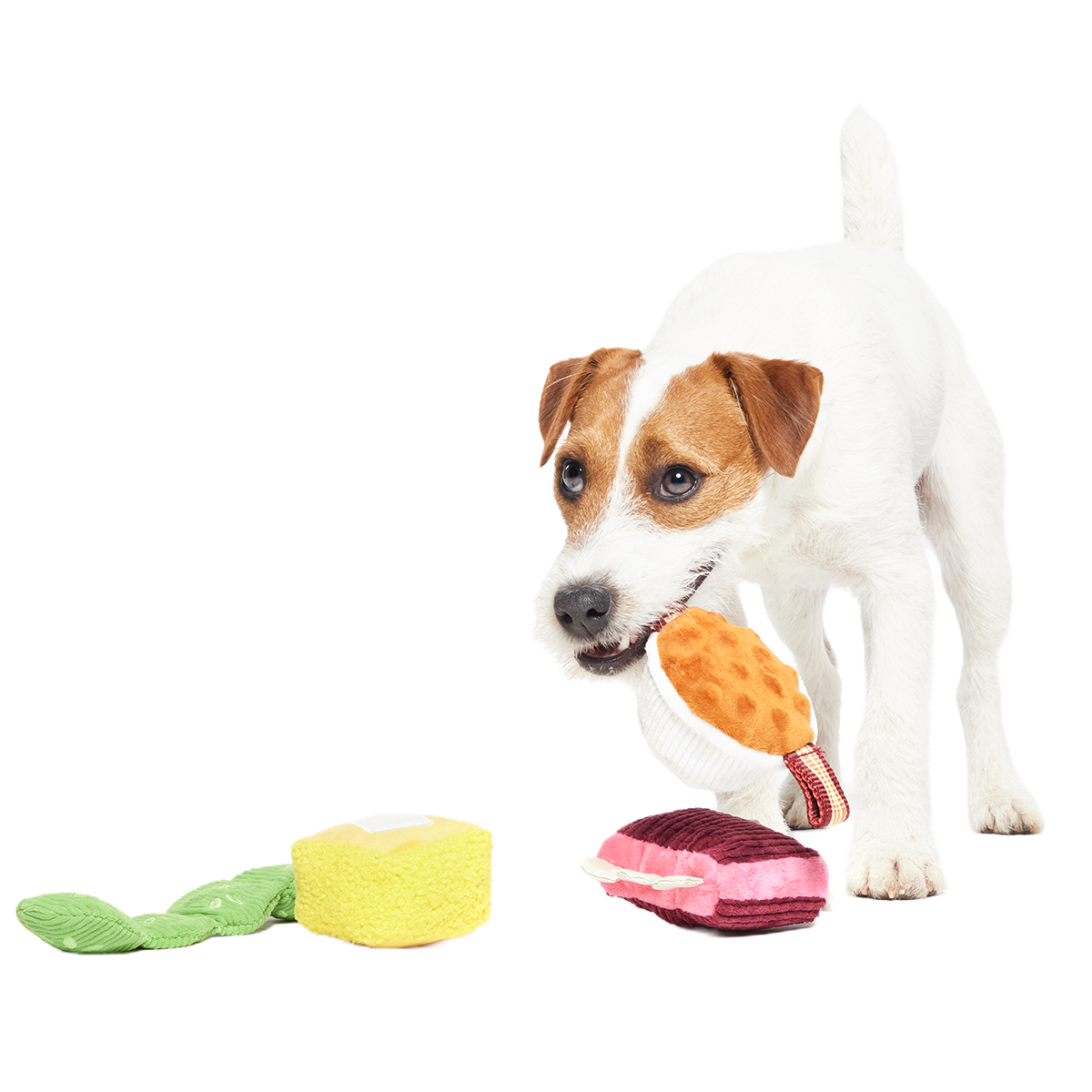 Squeak & Three Plush Multi-Part Dog Toy