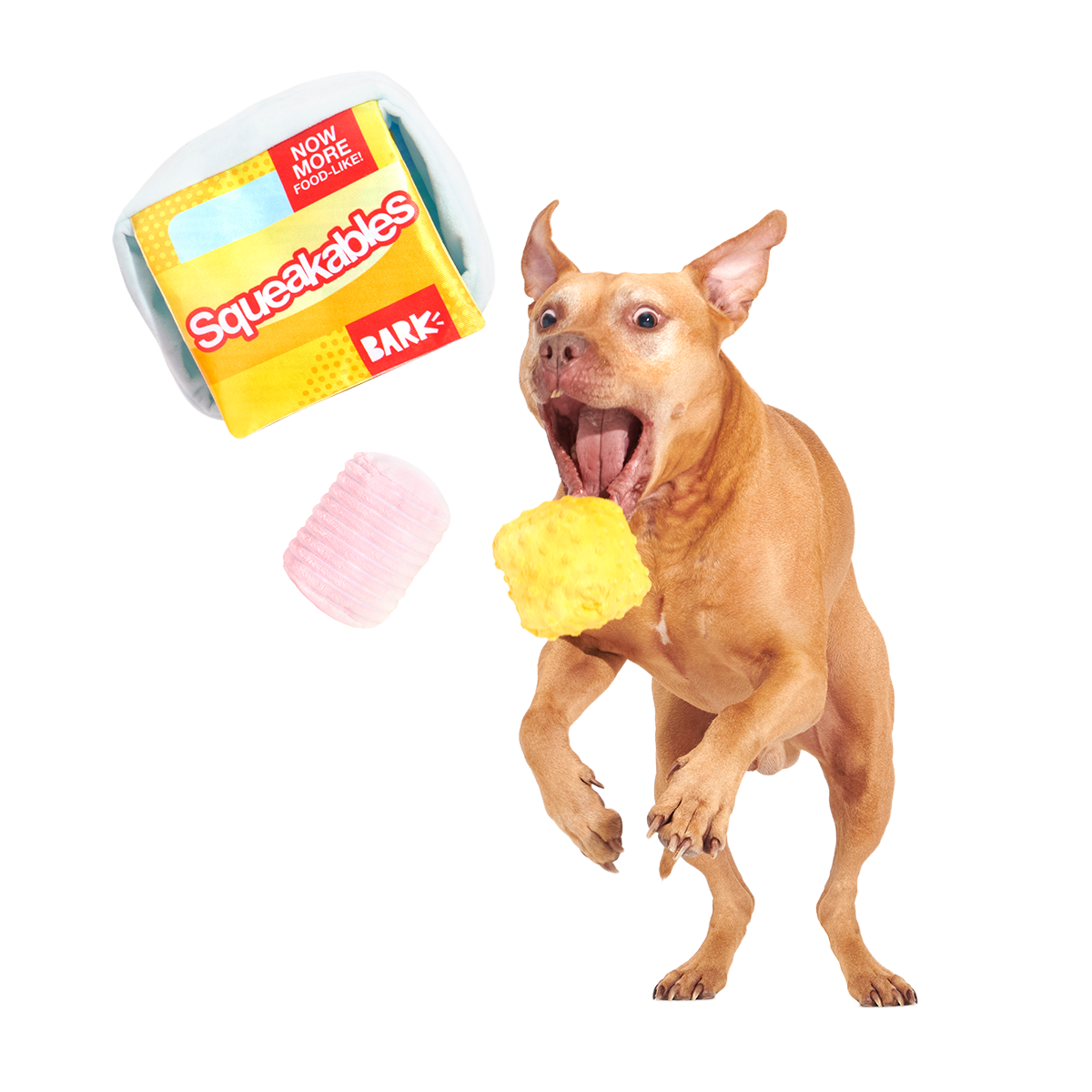 Squeakables Plush Multi-Part + Enrichment Dog Toy
