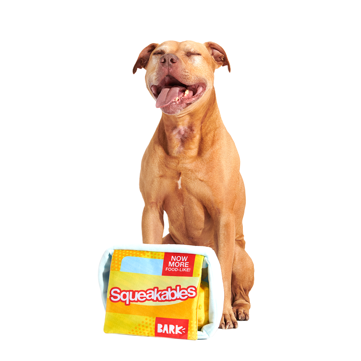 Squeakables Plush Multi-Part + Enrichment Dog Toy
