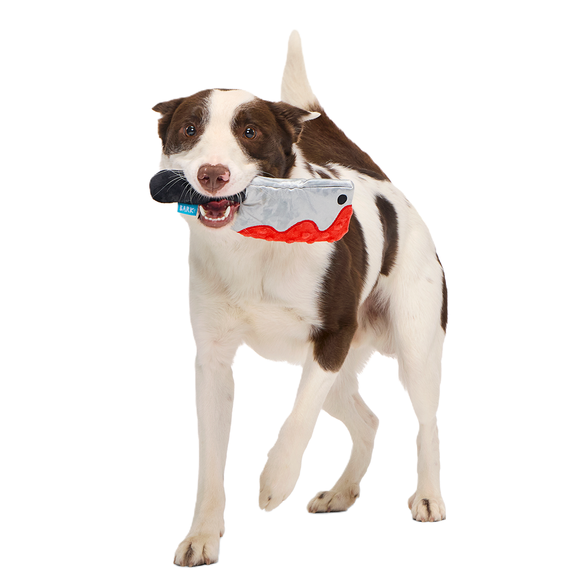 Squeakopath Knife Plush Tug Dog Toy