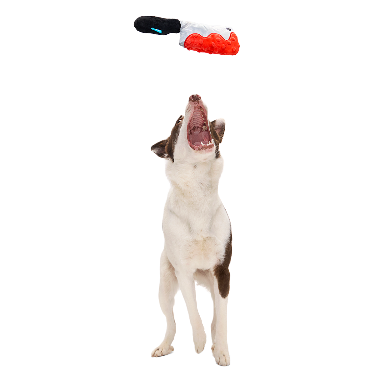 Squeakopath Knife Plush Tug Dog Toy