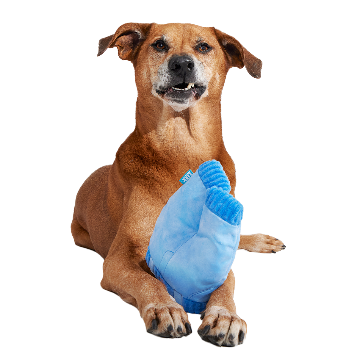 Squeaky Clean Mom Jeans Plush Tug Dog Toy