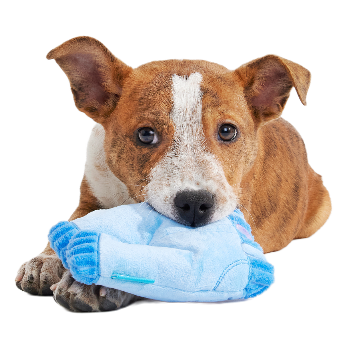 Squeaky Clean Mom Jeans Plush Tug Dog Toy