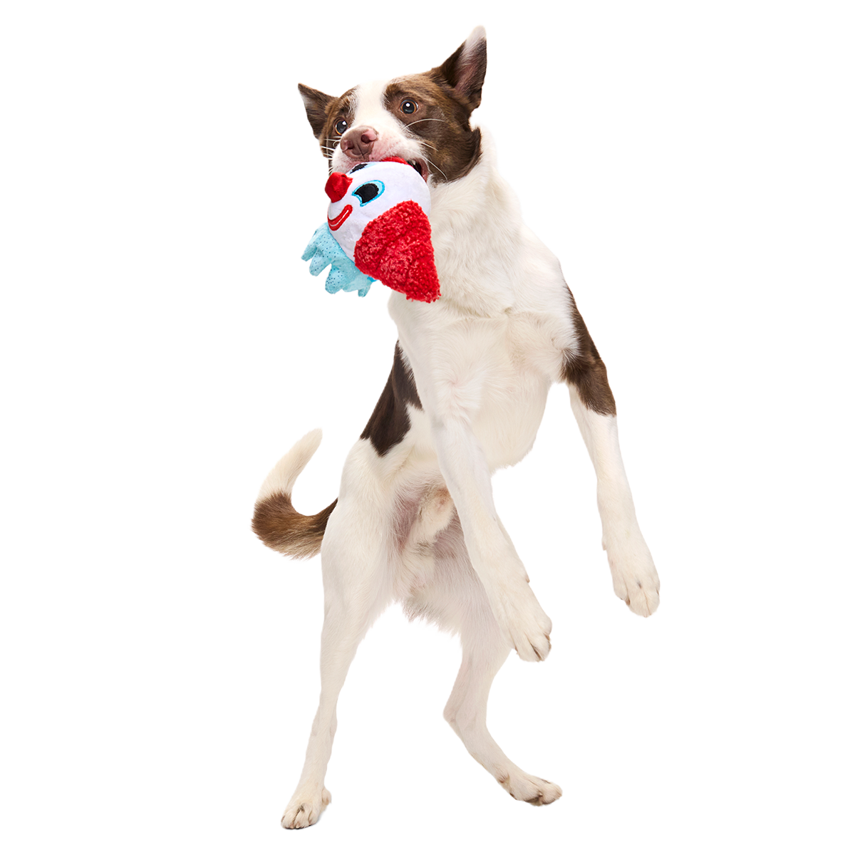 Last Laugh Bundle Plush Multi-Part Dog Toy