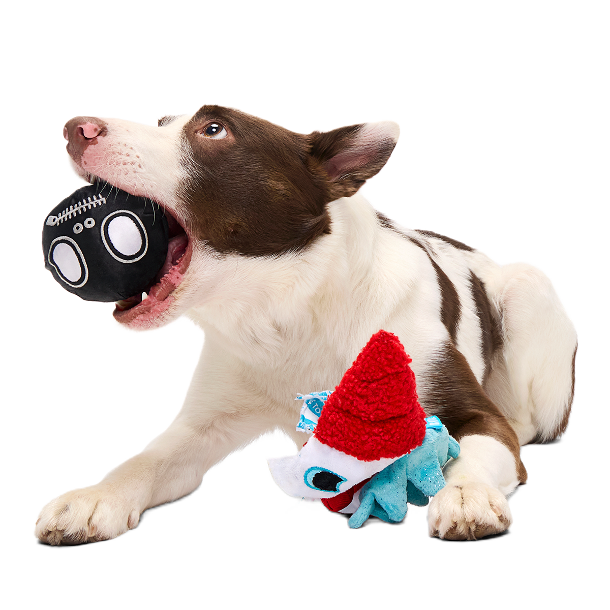 Last Laugh Bundle Plush Multi-Part Dog Toy