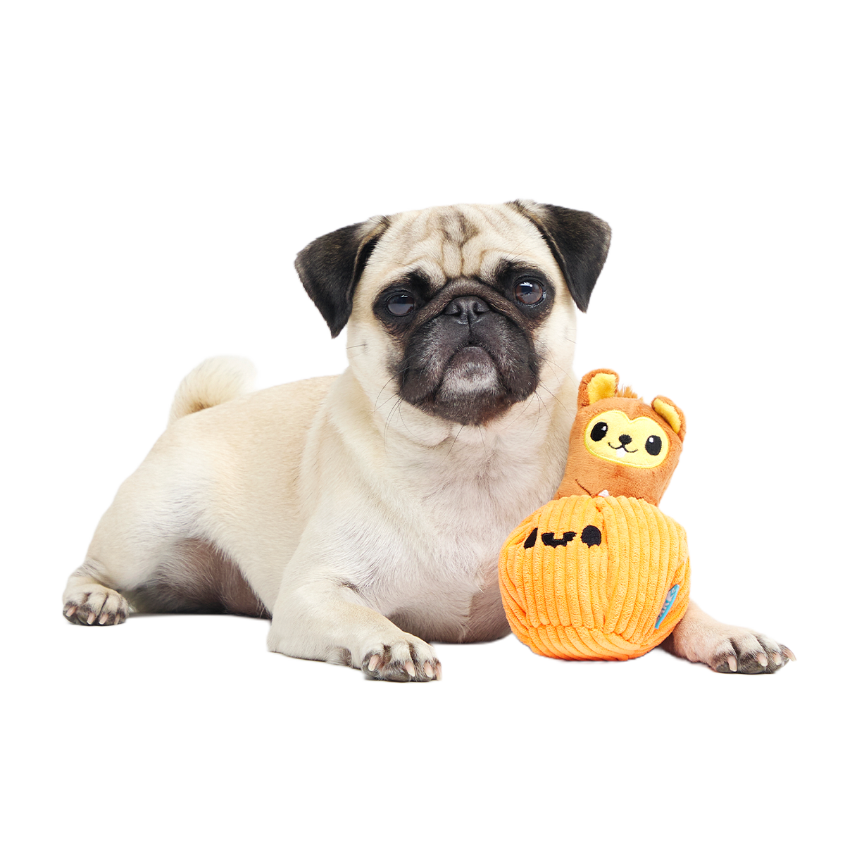 Squirrel-O-Lantern Plush Multi-Part + Enrichment Dog Toy