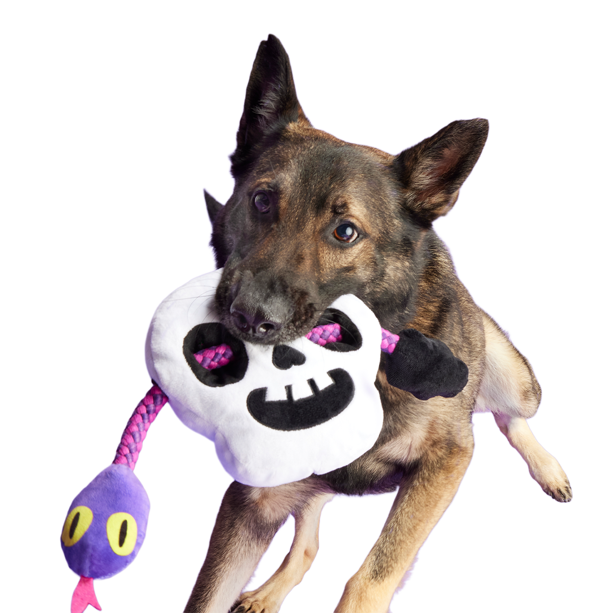 Sssskull Plush Extra-Large + Tug Dog Toy