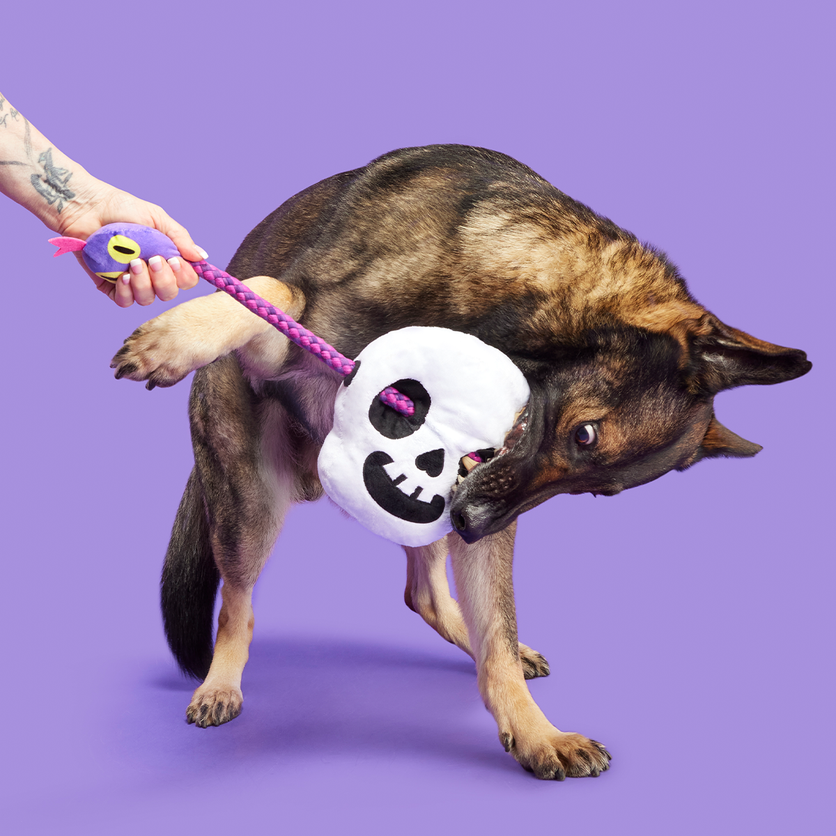 Sssskull Plush Extra-Large + Tug Dog Toy