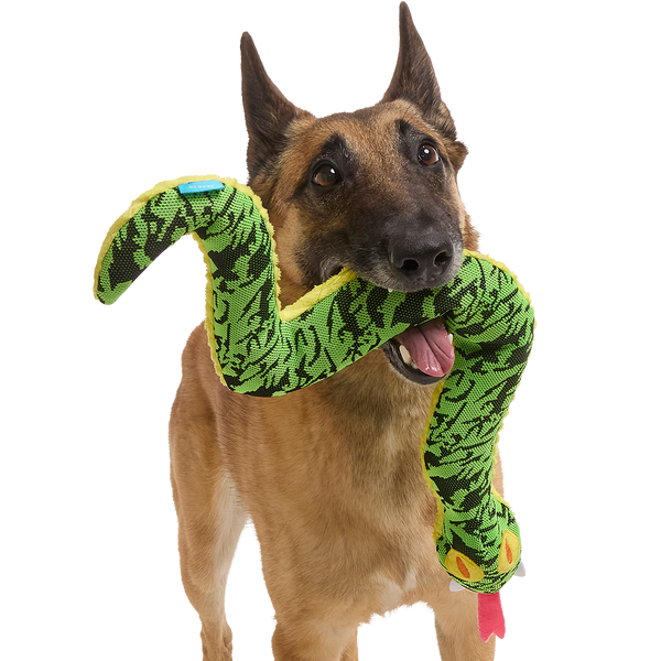 洋楽 Rup Dog Sssssssssteve Plush XXL Tug Dog Toy – BARK