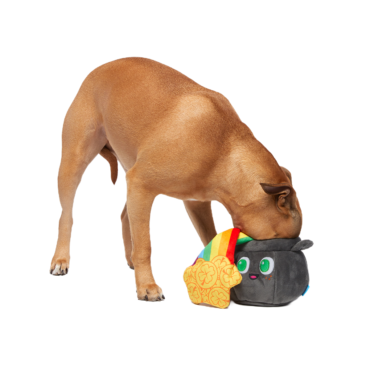 St. Pup's Pot o' Gold Plush Tug + Enrichment Dog Toy