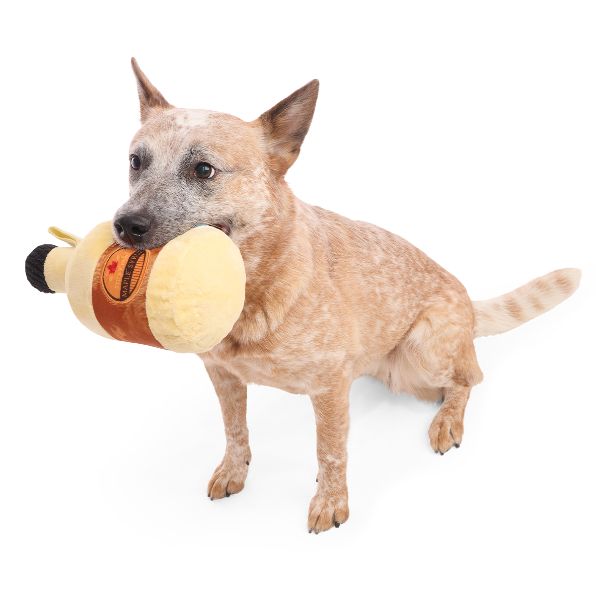 Sticky Paws Maple Syrup Plush 2-in-1 + Tug Dog Toy