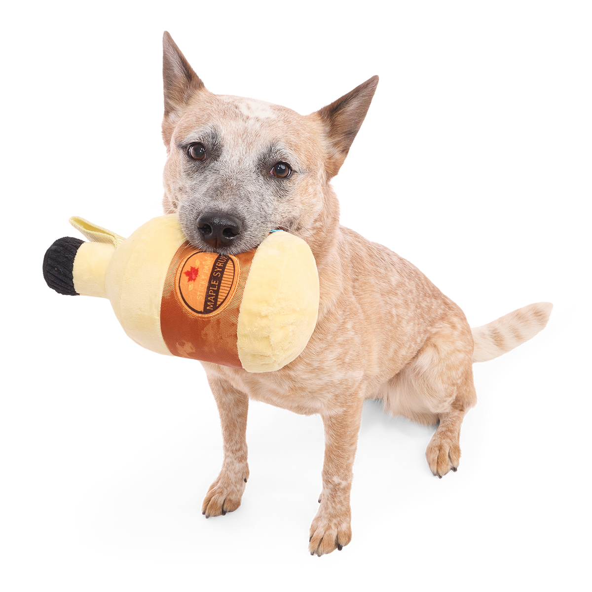 Sticky Paws Maple Syrup Plush 2-in-1 + Tug Dog Toy