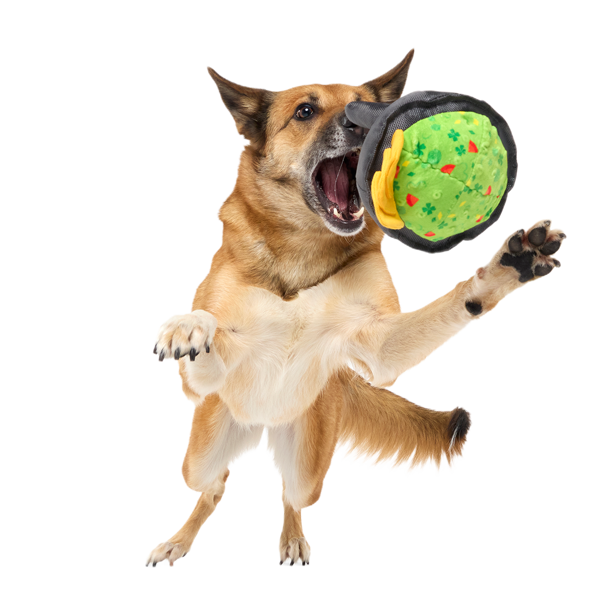 Stop, Guac, & Mole Plush Tug Dog Toy