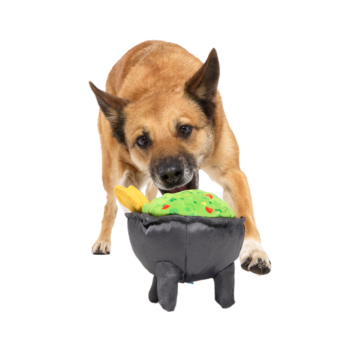 Stop, Guac, & Mole Plush Tug Dog Toy