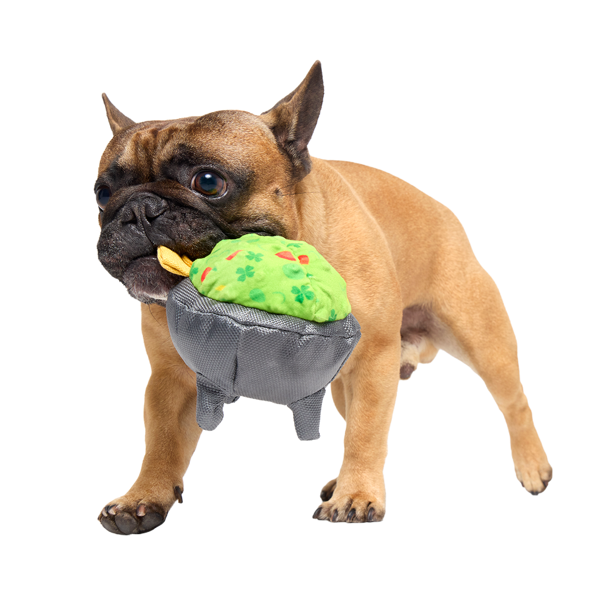 Stop, Guac, & Mole Plush Tug Dog Toy