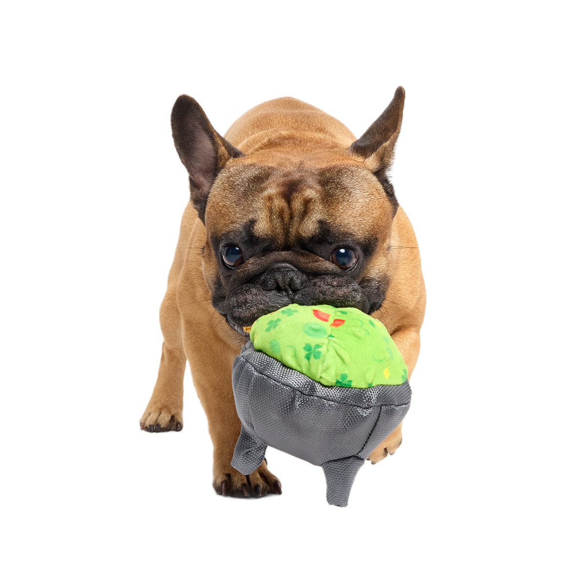 Stop, Guac, & Mole Plush Tug Dog Toy