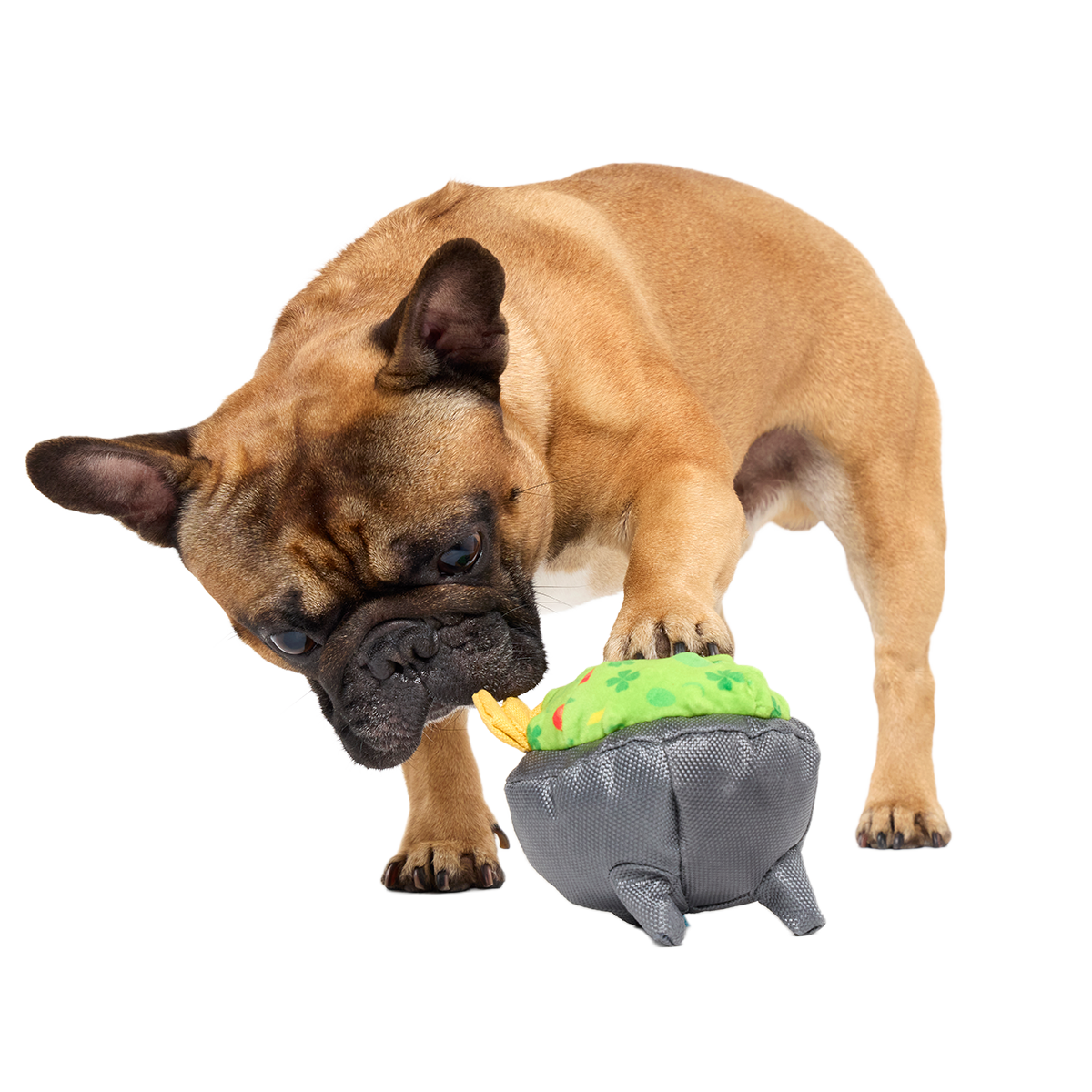Stop, Guac, & Mole Plush Tug Dog Toy