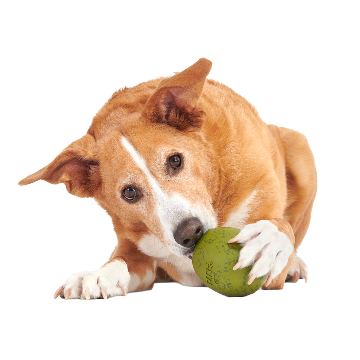 Stuffed Olive Super Chewer Durable Enrichment Dog Toy