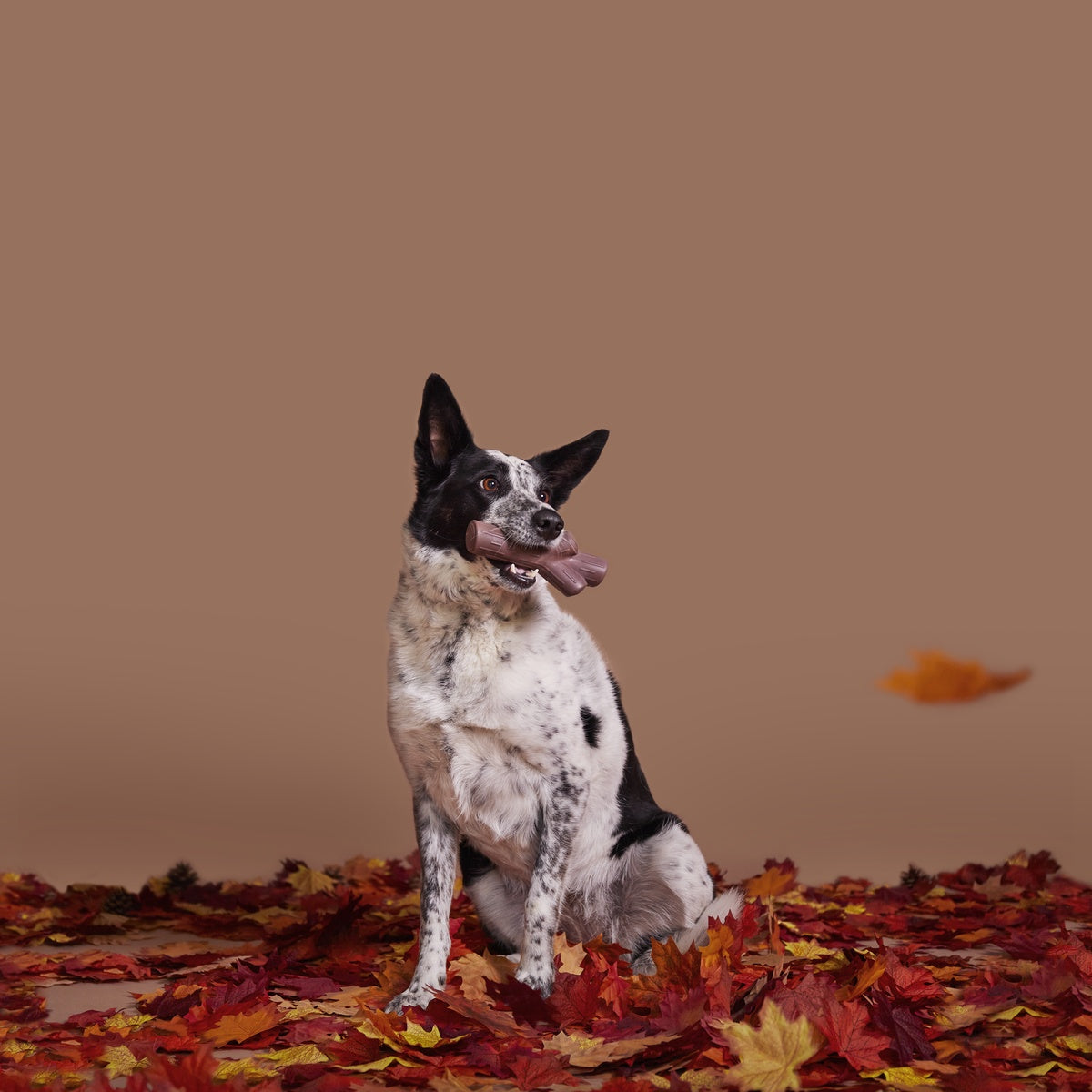 Fall Fetch Stick Super Chewer Durable Gnaw Dog Toy