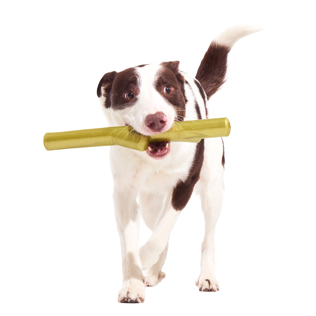 Super Stick Supreme Super Chewer Durable Extra-Large Fetch Dog Toy