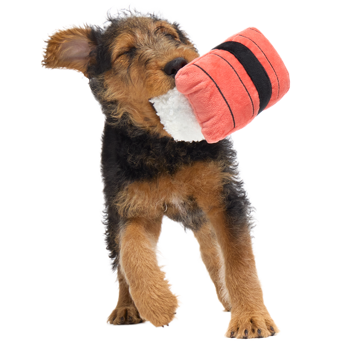 Super Tasty Tuna Sushi Plush Dog Toy