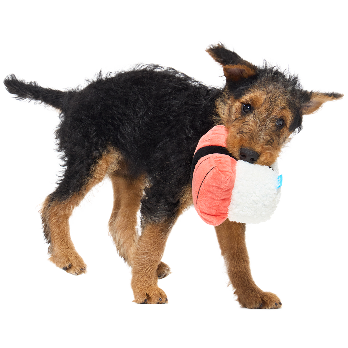 Super Tasty Tuna Sushi Plush Dog Toy