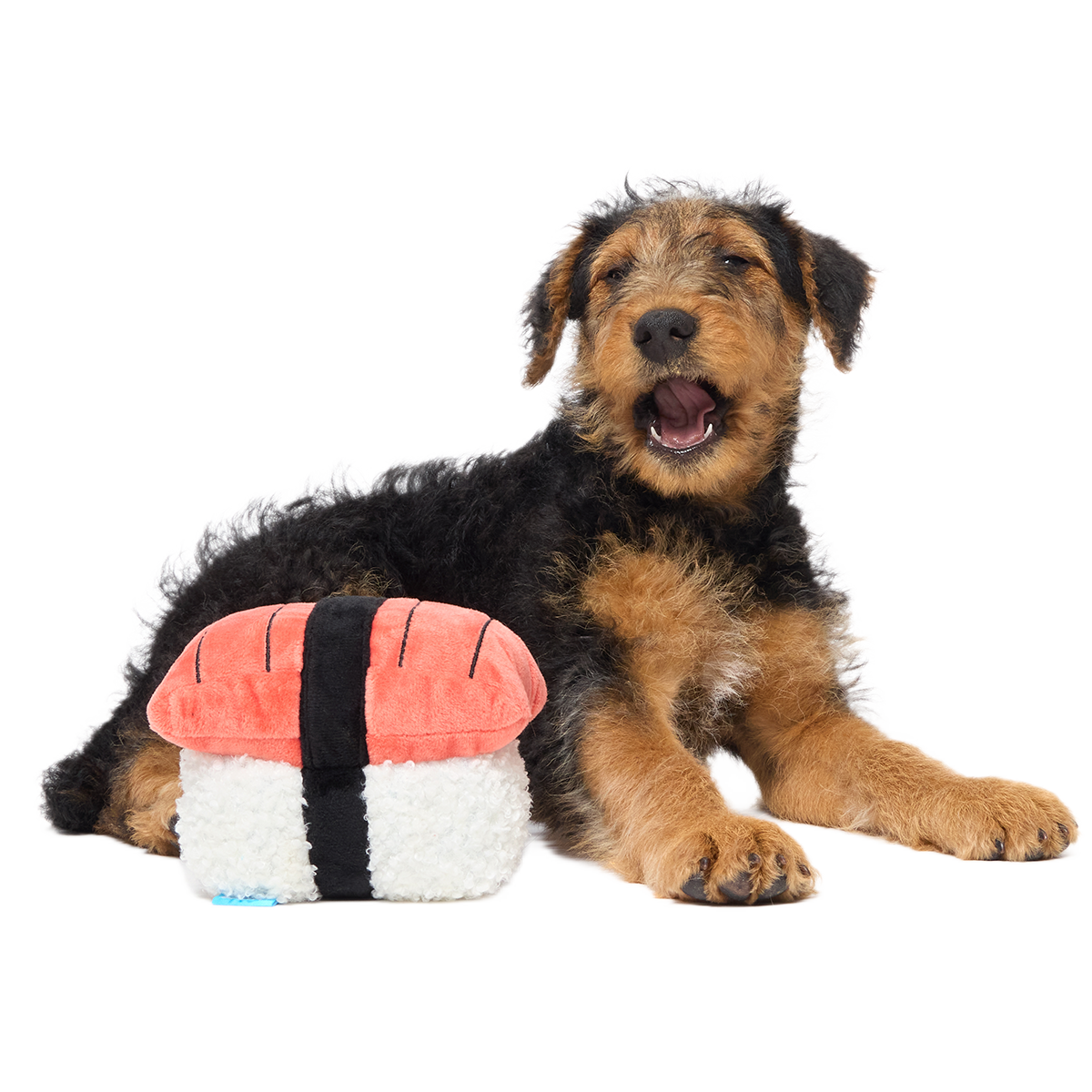 Super Tasty Tuna Sushi Plush Dog Toy