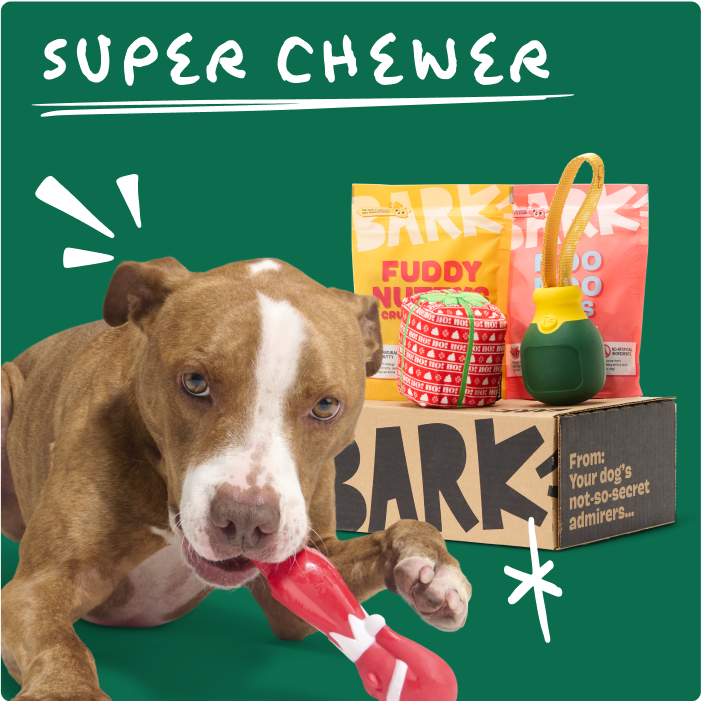 BARK Shop BarkBox Food Toppers Treats Dental Toys and more