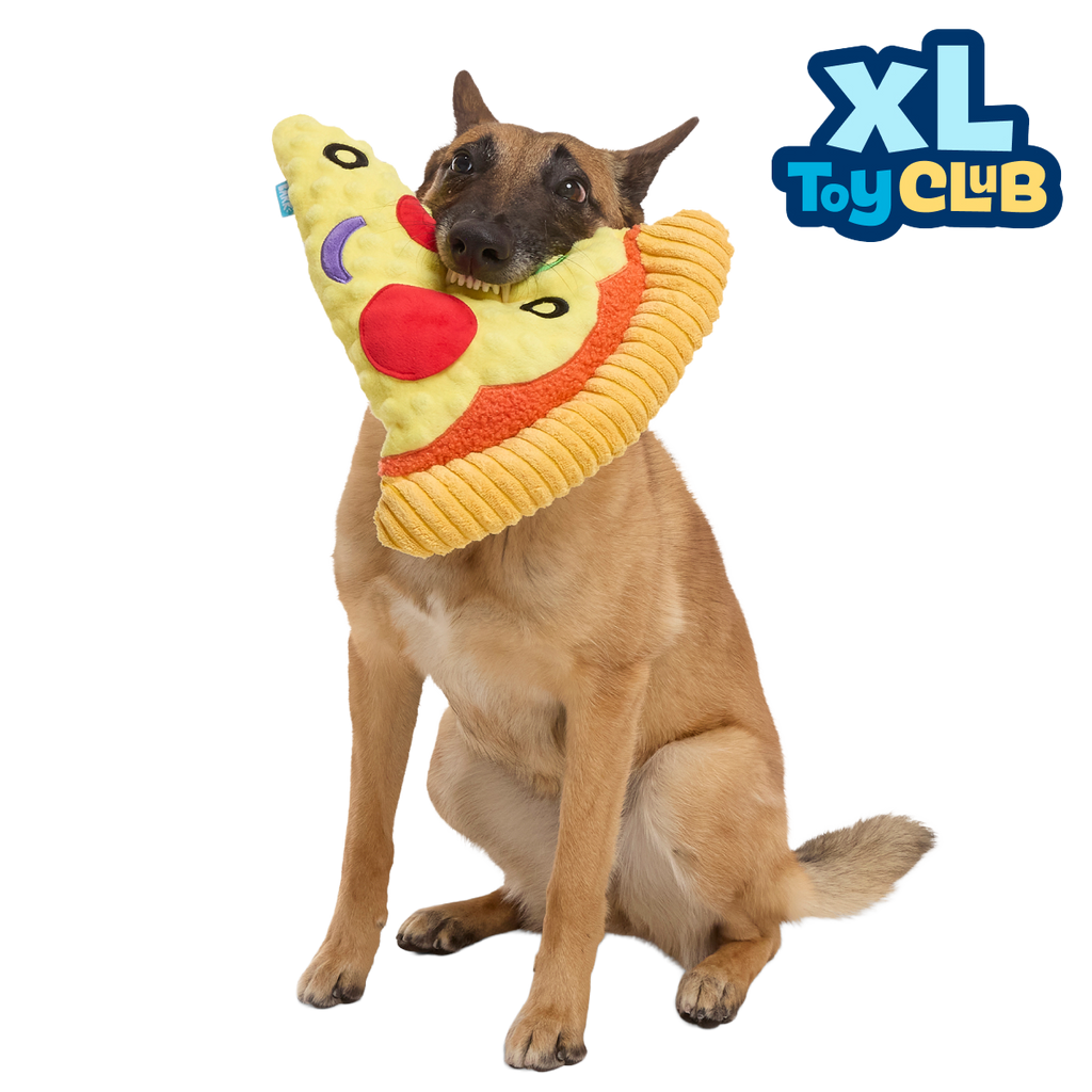 XL Toy Club - Extra-Large Plush Toys for Dogs Monthly Subscription