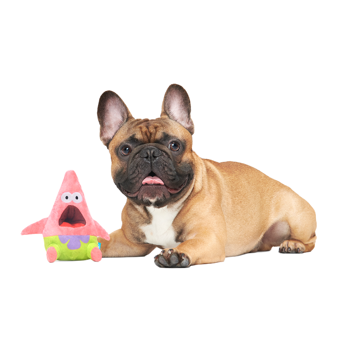 Surprised Patrick Plush Enrichment Dog Toy